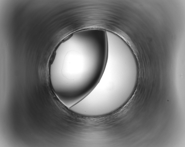 X0000088691242200705310952