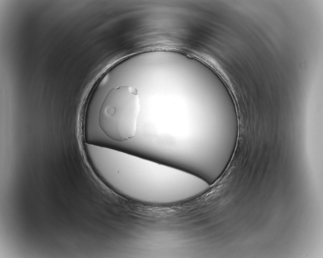 X0000088691243200705310952