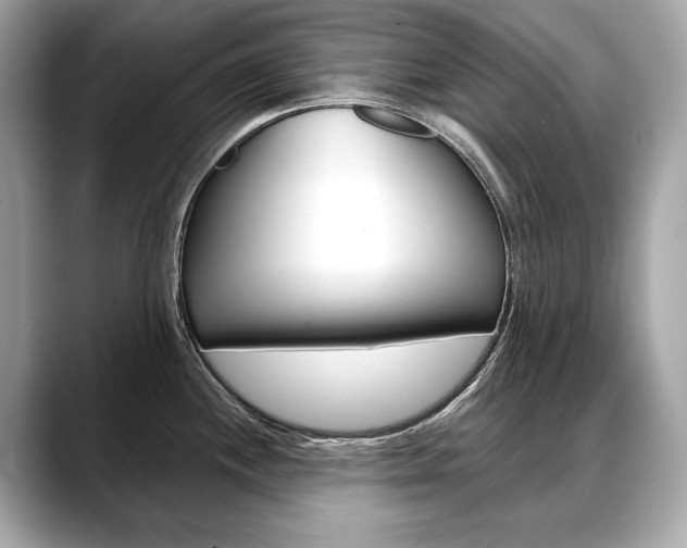 X0000088691244200705310952
