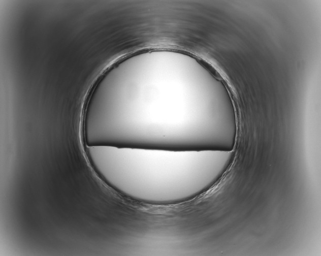X0000088691245200705310952