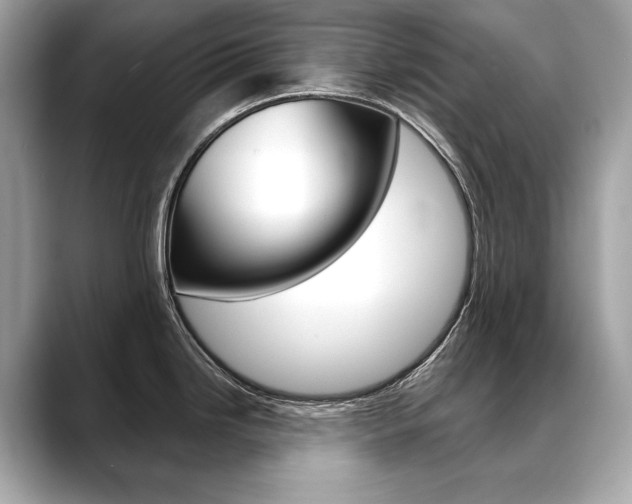 X0000088691246200705310952