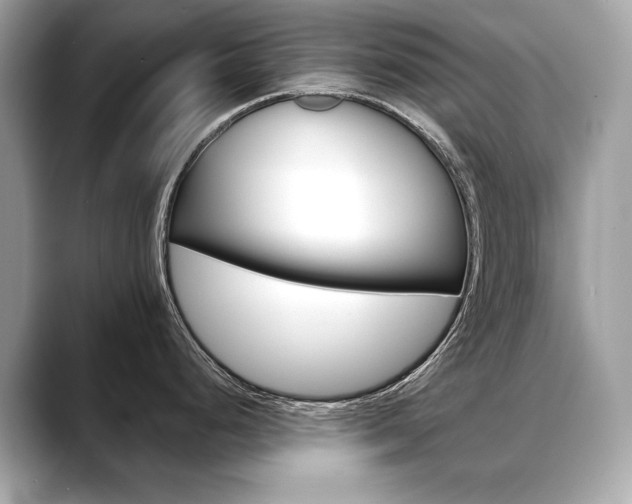 X0000088691248200705310952
