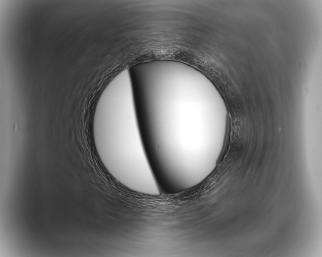 X0000088691249200705310951