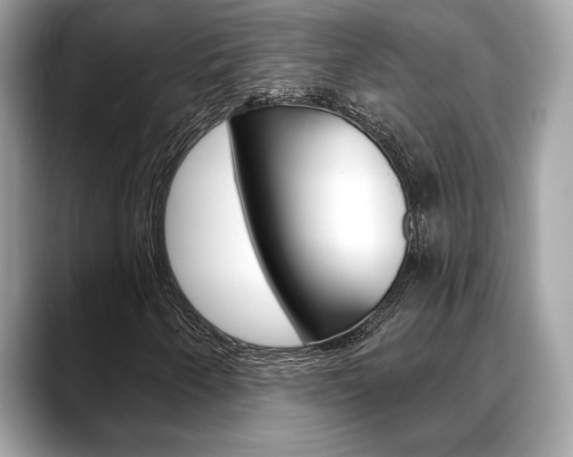 X0000088691250200705310951