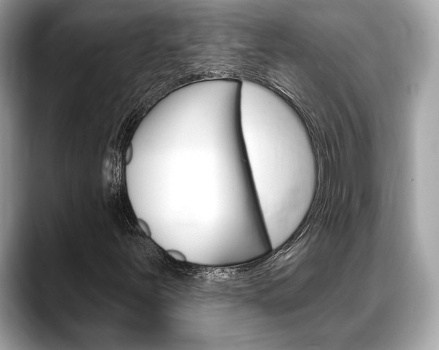 X0000088691251200705310951