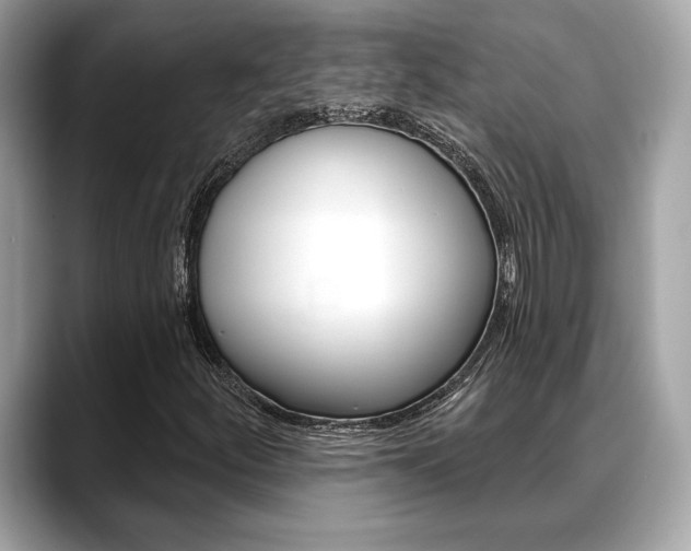 X0000088691252200705310951