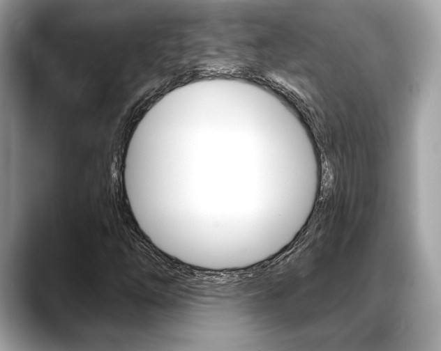 X0000088691254200705310951