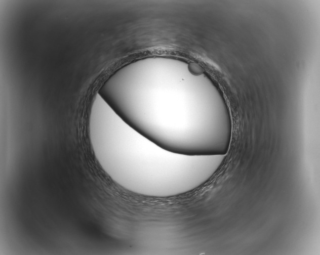 X0000088691255200705310951