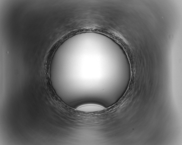 X0000088691256200705310951