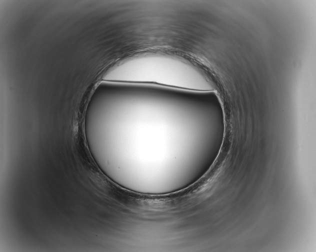 X0000088691257200705310951
