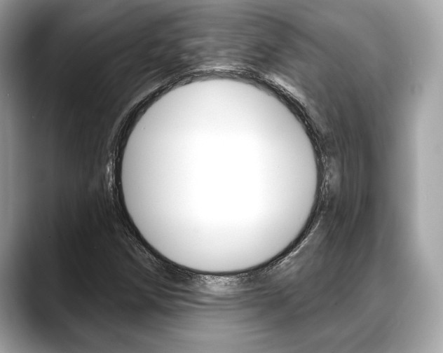 X0000088691258200705310951