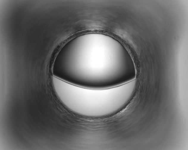 X0000088691261200705310951
