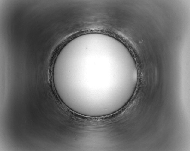 X0000088691262200705310951