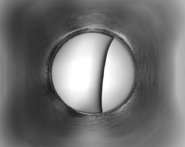 X0000088691263200705310951