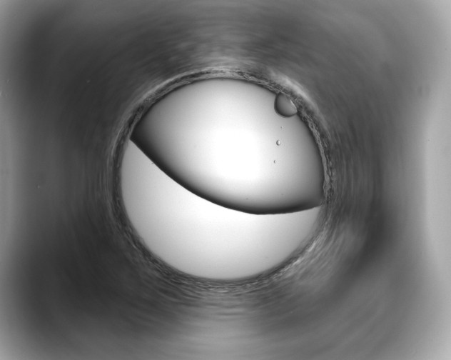 X0000088691267200705310951