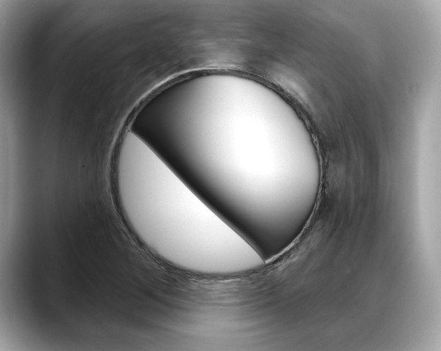 X0000088691268200705310951