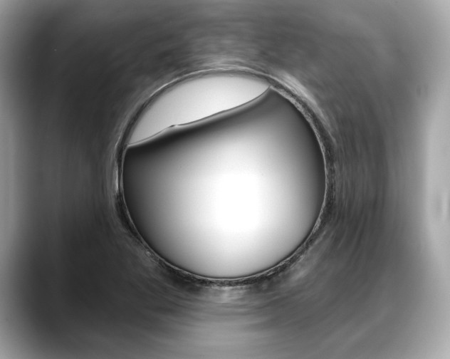 X0000088691269200705310951