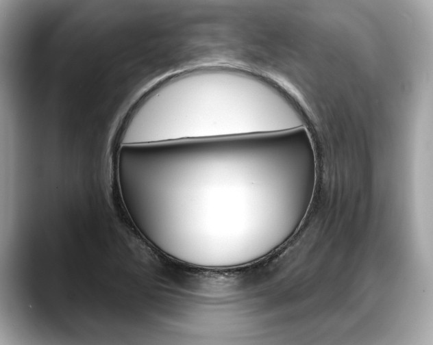 X0000088691270200705310951