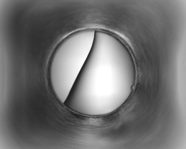 X0000088691271200705310951