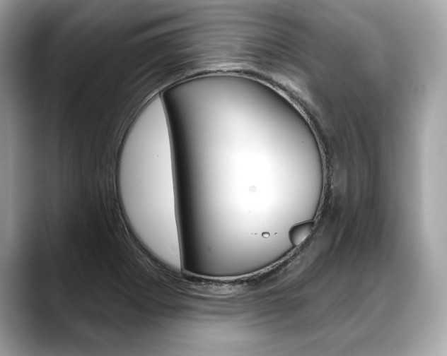 X0000088691273200705310951