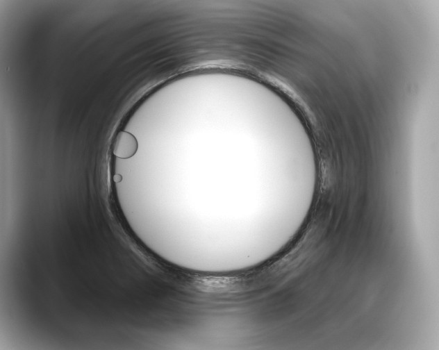 X0000088691274200705310951