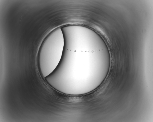 X0000088691275200705310951