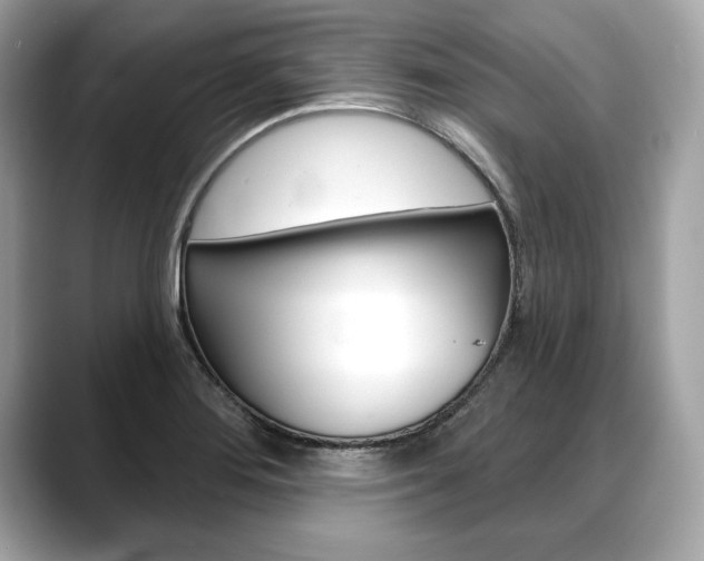 X0000088691276200705310951