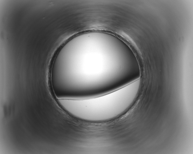 X0000088691277200705310951