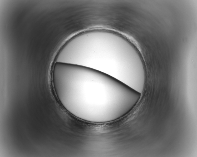 X0000088691279200705310951