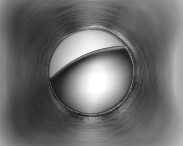 X0000088691281200705310951