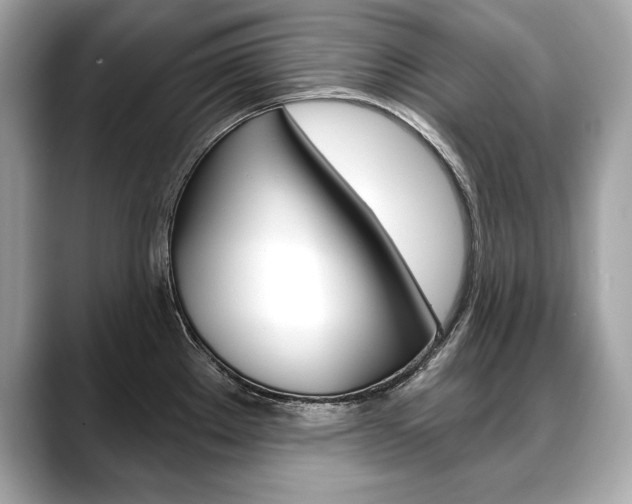 X0000088691289200705310951