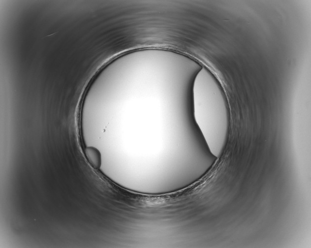 X0000088691291200705310951