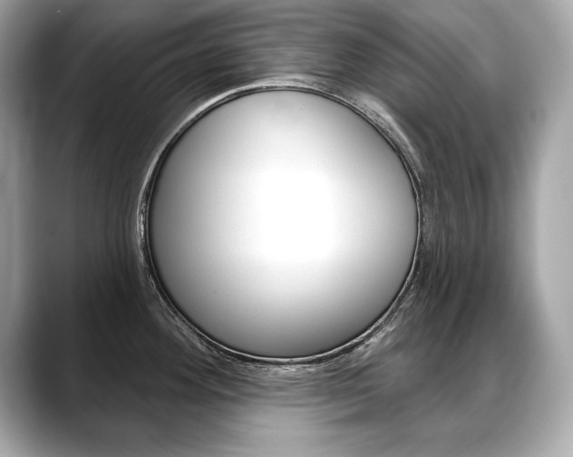 X0000088691292200705310951