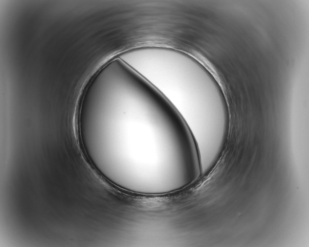 X0000088691293200705310951