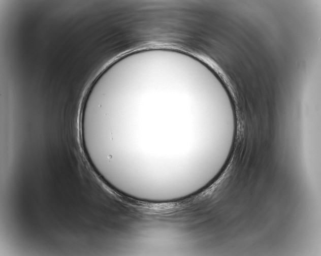 X0000088691294200705310951