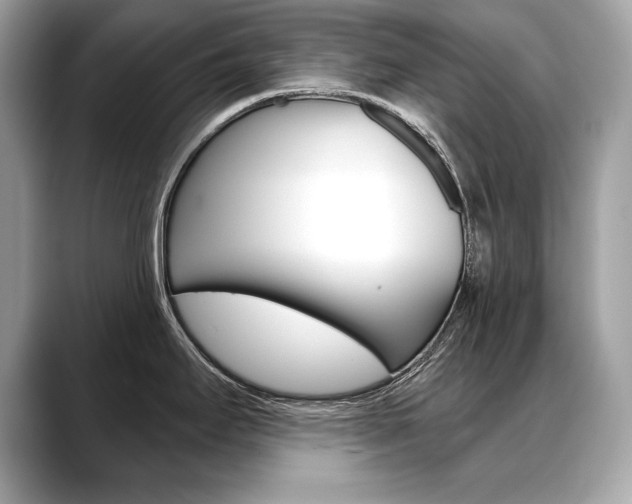 X0000088691295200705310951