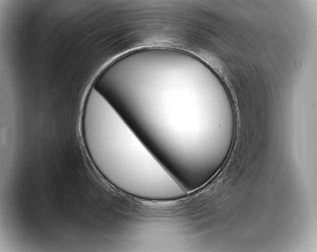 X0000088691296200705310951