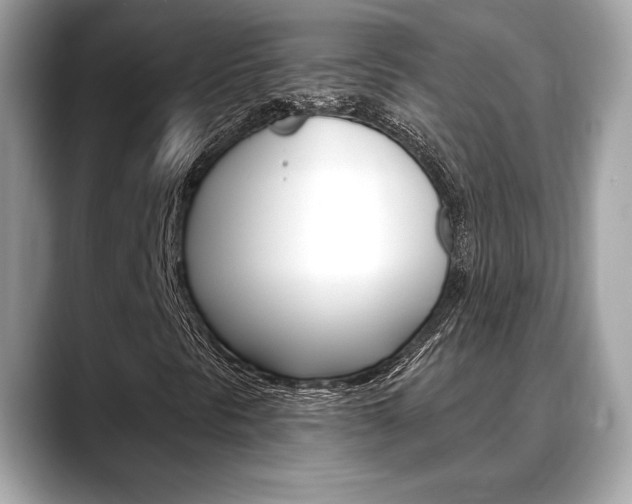 X0000088691297200705310950