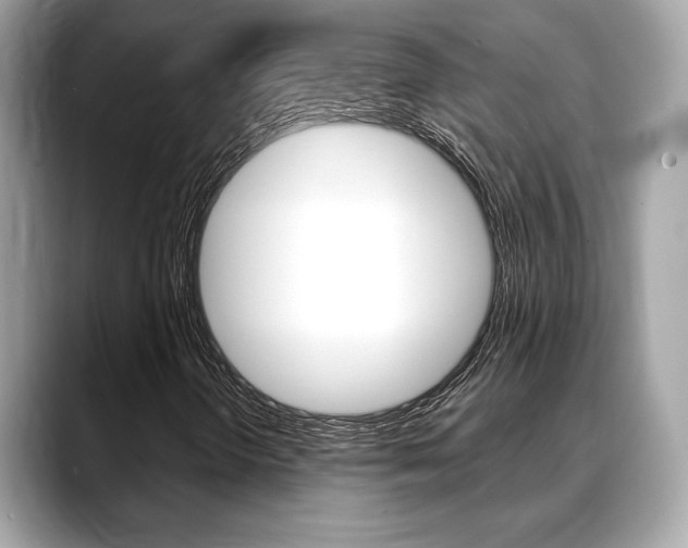 X0000088691298200705310950