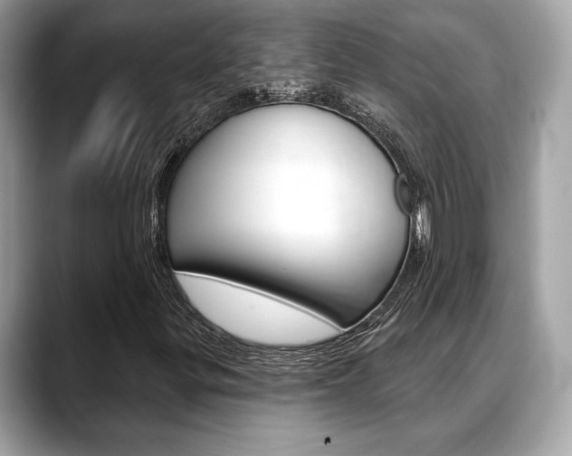 X0000088691299200705310950