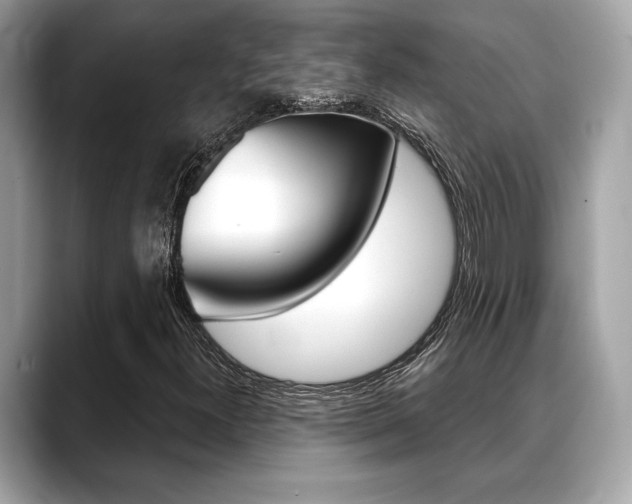 X0000088691300200705310950