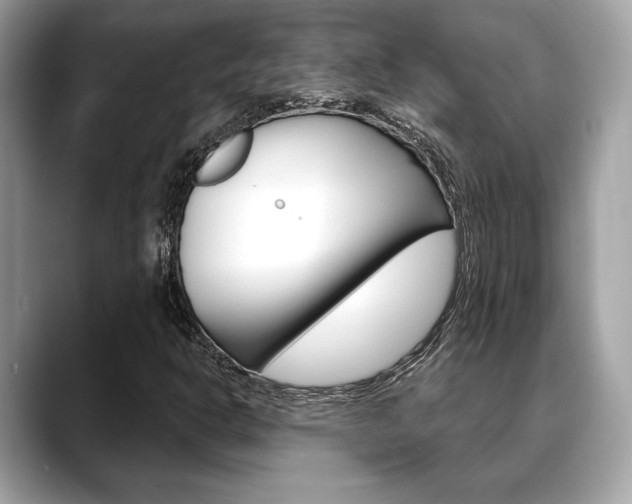 X0000088691302200705310950