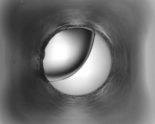 X0000088691304200705310950
