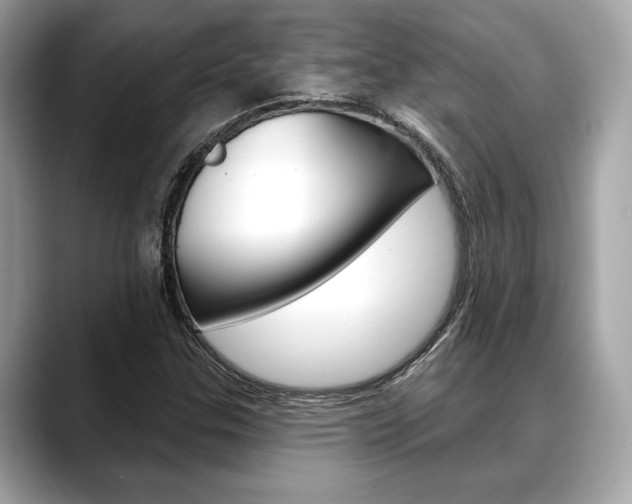 X0000088691307200705310950