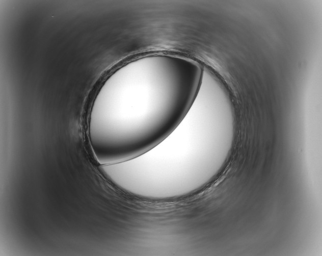X0000088691308200705310950