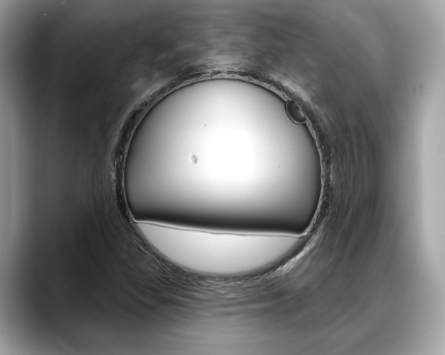 X0000088691309200705310951