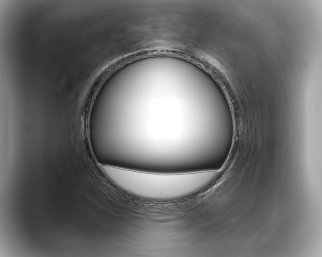 X0000088691310200705310951