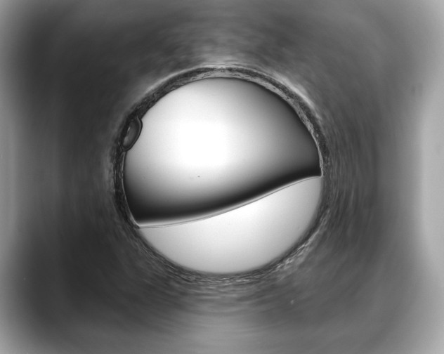 X0000088691311200705310951