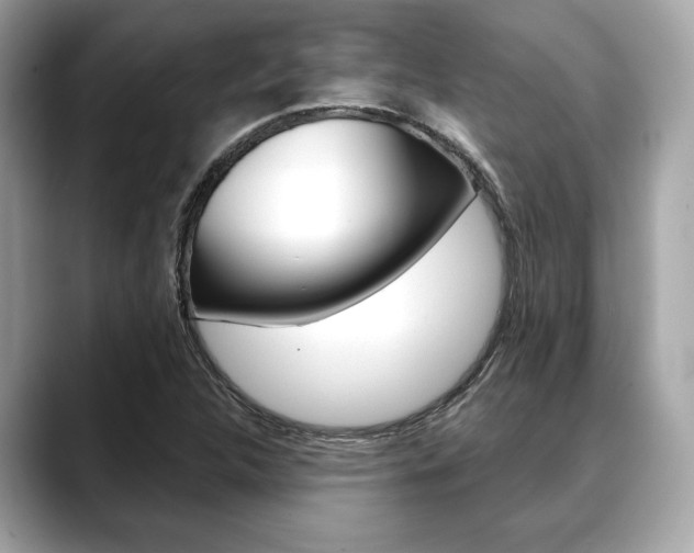 X0000088691312200705310951