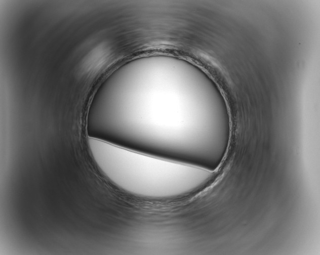 X0000088691313200705310951